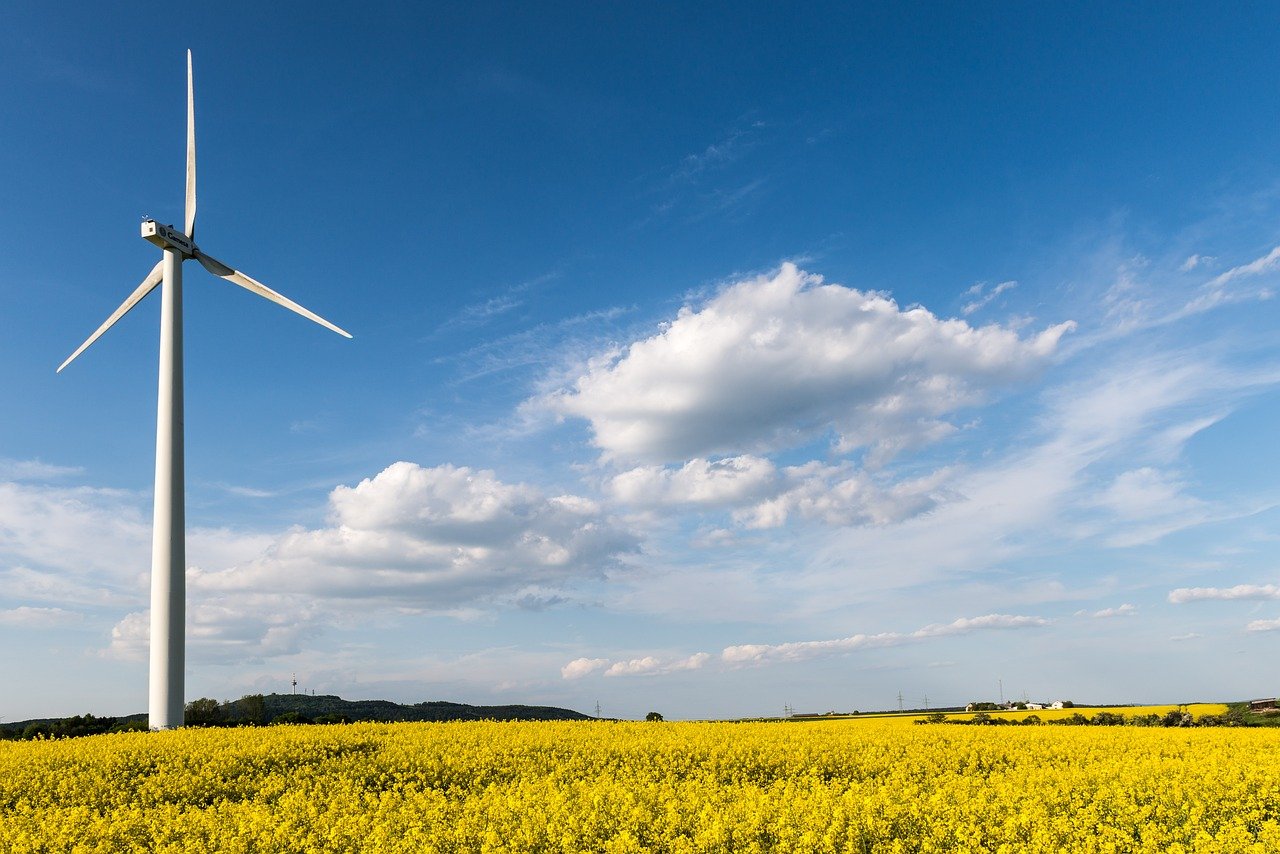 métier environnement